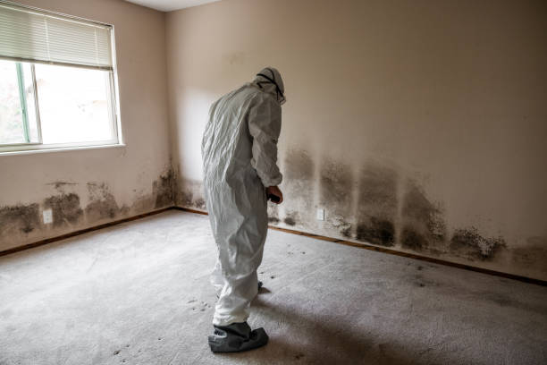 Best Biohazard Mold Removal  in Grove City, PA